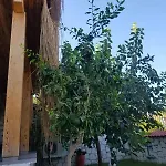 Alacati Sunset Butik فندق *