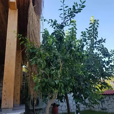 Alacati Sunset Butik فندق *