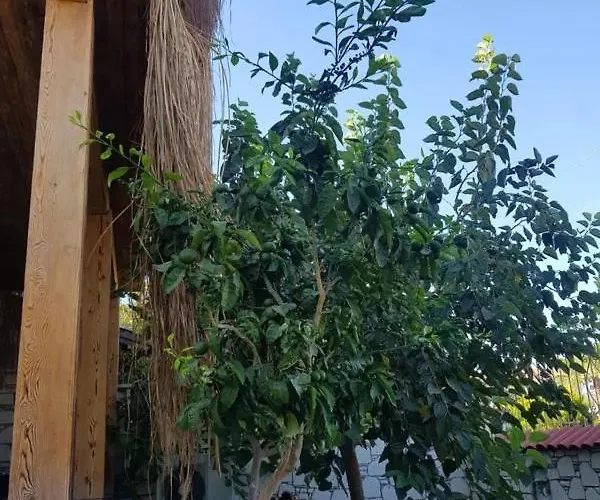 Alacati Sunset Butik Отель *